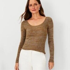 Ann Taylor Sparkle Scoop Neck Stretch Bodycon Ribbed Sweater sz L NWT